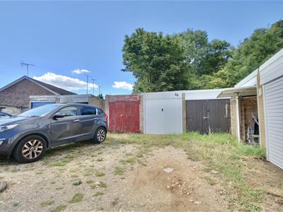 Picture 14